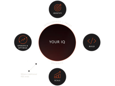A black circle with white and red text, arrows, and graphics containing words like IDENTIFY, YOUR IQ, OPERATE & OPTIMIZE, BUILD, SECURITY, and SCALE.