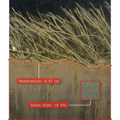 Underwater sediment boundary and grain size