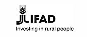 Λογότυπο IFAD