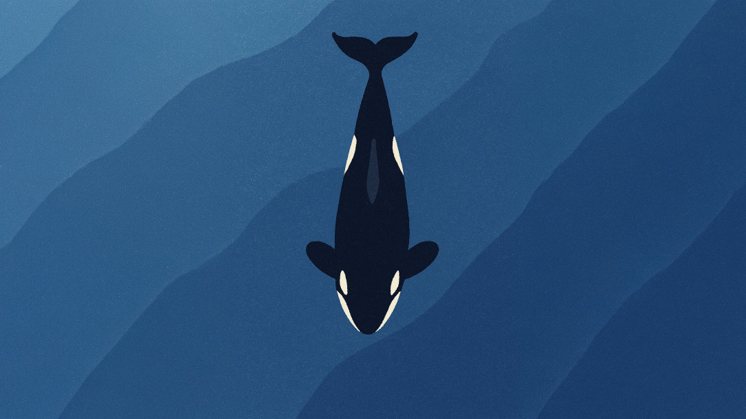 How to Make AI Illustrations | Microsoft Copilot