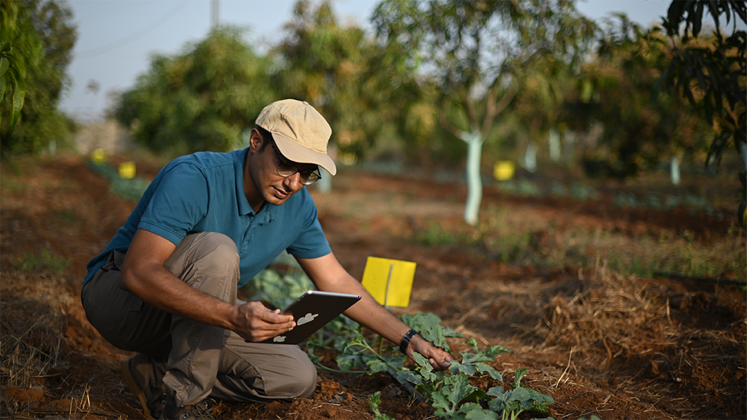 A man using a tablet on a farm while inspecting crops