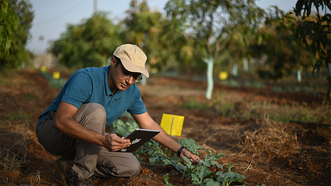A man using a tablet on a farm while inspecting crops