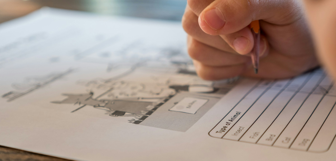 A student working on an assignment