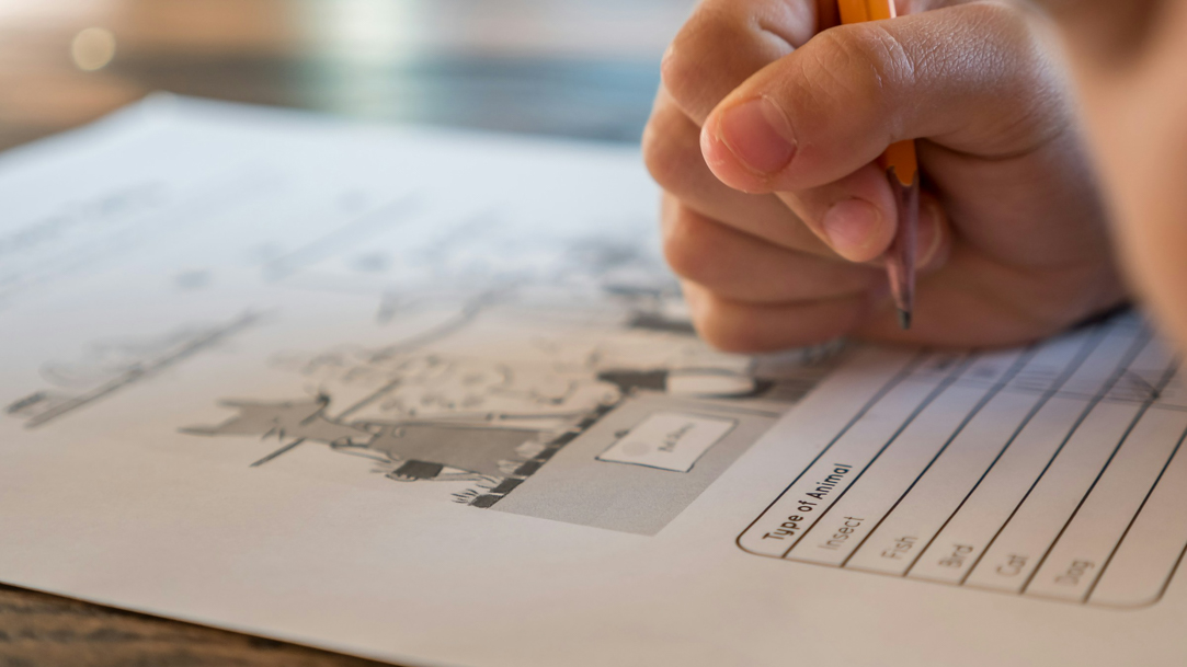 A student working on an assignment