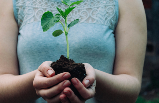 A woman holding a small plant in dirt in her hands