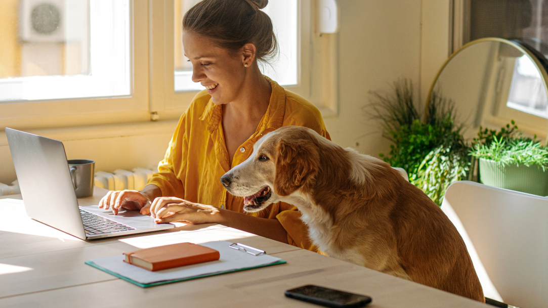 A woman works efficiently from her home office with her dog by her side