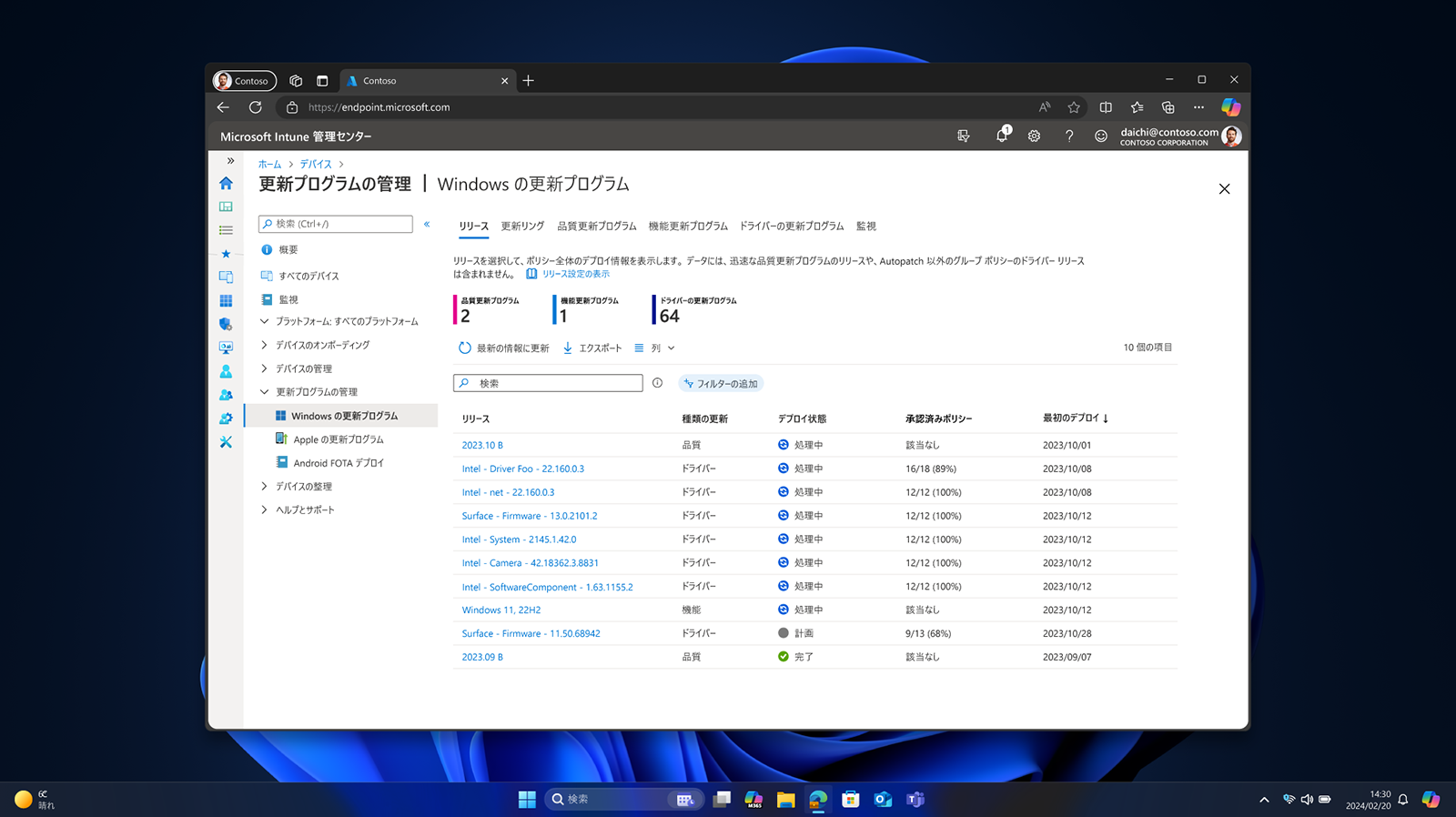 管理可能な IT ポリシーのリストの下に青いブルーム画像が表示されている Windows Pro 搭載デバイスの画面
