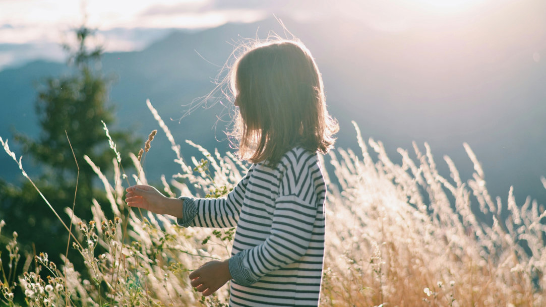 Child standing in a field, examining a plant