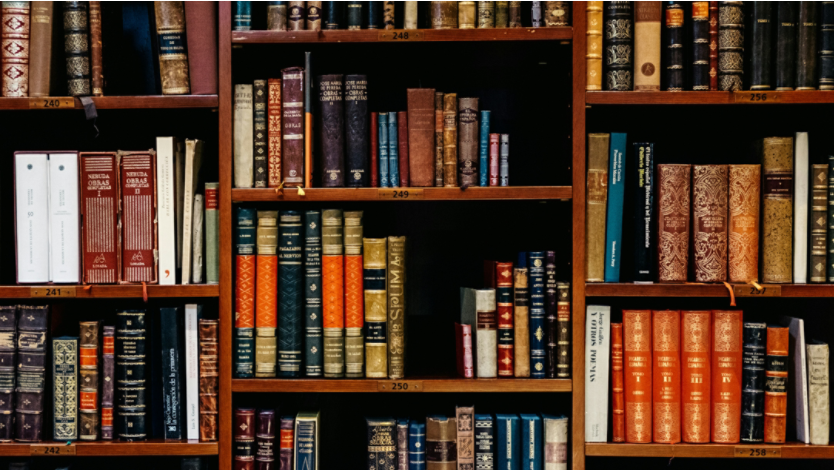 Close-up of academic books on a wooden bookshelf