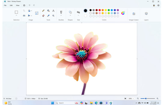 Colorful flower in the Paint app