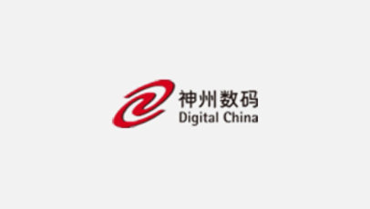 Digital China