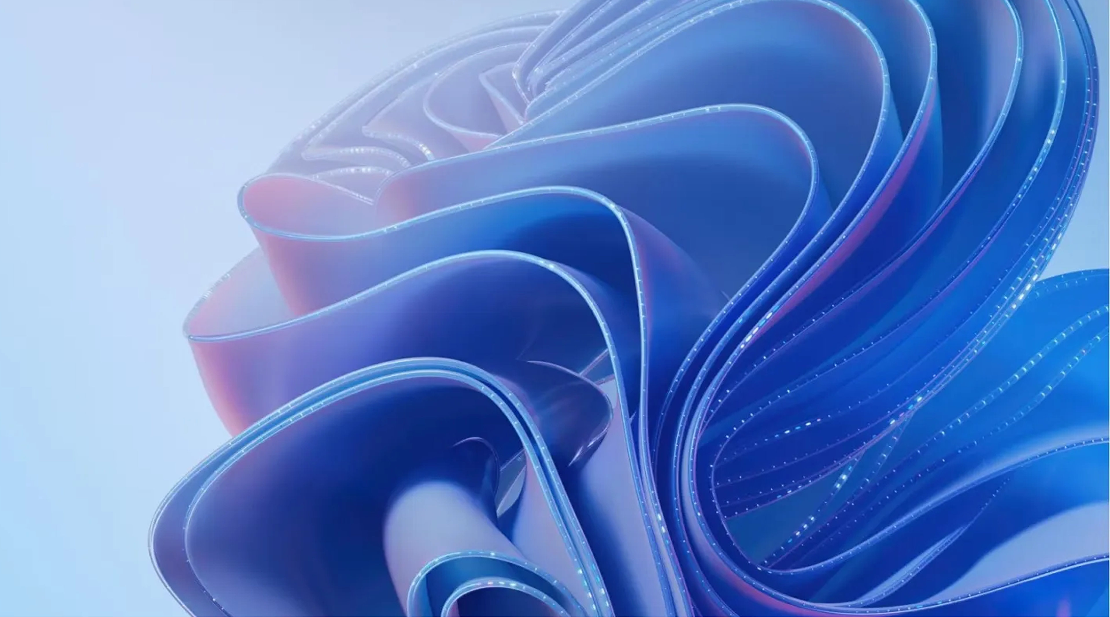 A blue ribbon shape shifting into a closeup of the blue bloom design