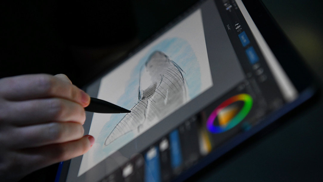 Hand sketching a shark illustration on a Surface Pro with a digital pen
