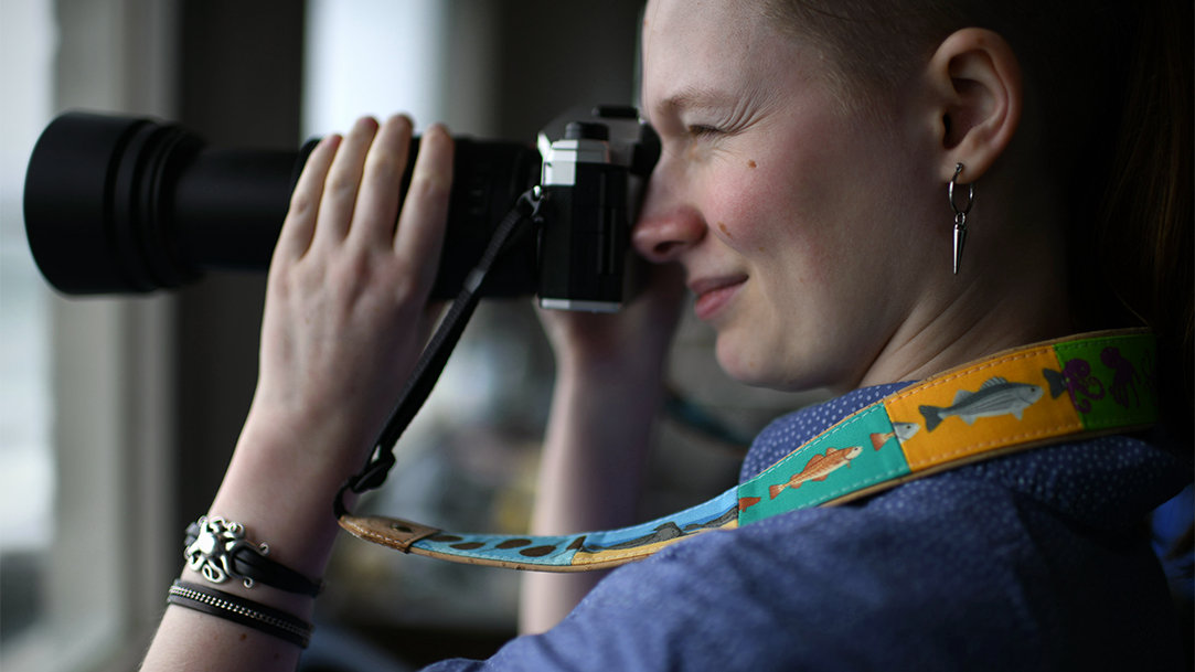 Person photographing marine life through a window