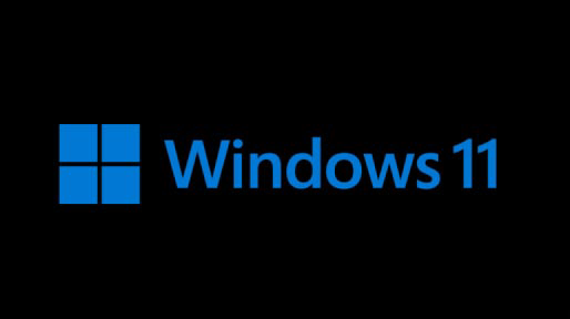 Windows 11의 계정 로그온 화면 스크린샷