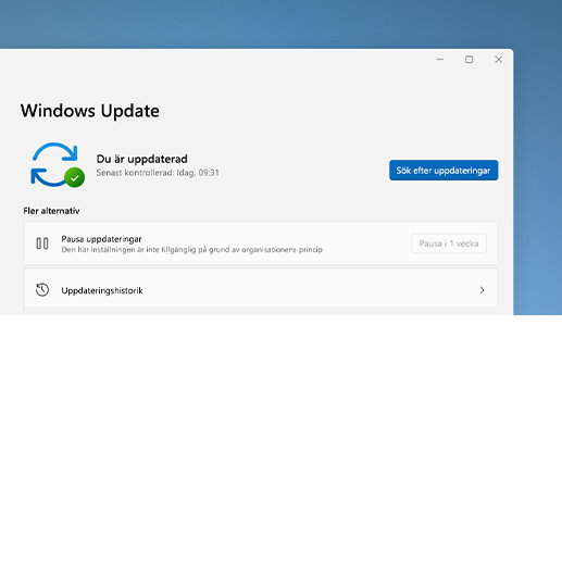 Windows-uppdatering