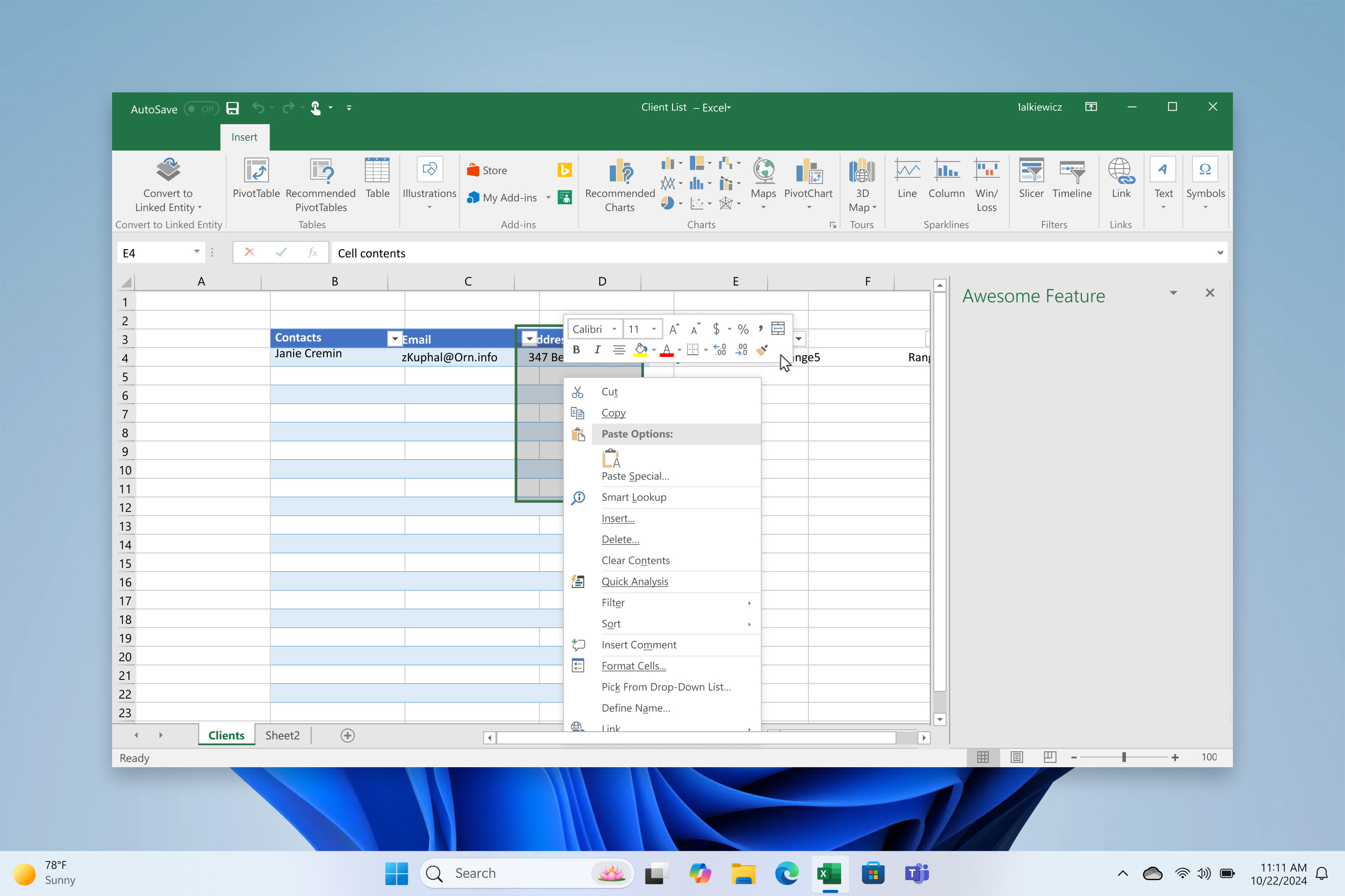 A Microsoft Excel file open on a computer screen