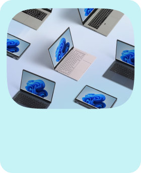 Several open Windows laptops with the blue bloom on the screen on a light blue background