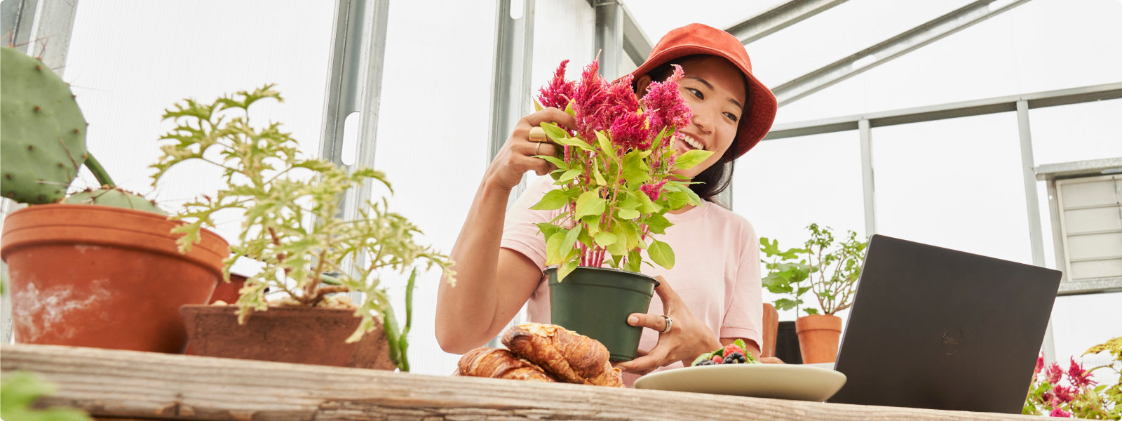 Uma mulher a segurar numa planta enquanto olha para o seu portátil