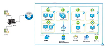 美赞臣部署在Azure上的SAP环境