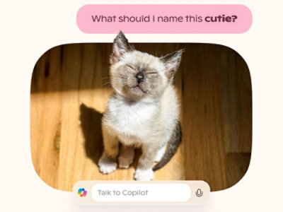 Een afbeelding van een lappenpop-kat die in de zon staart, met als bijschrift Hoe moet ik dit schatje noemen