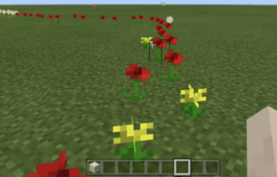 Flower Trail Animation