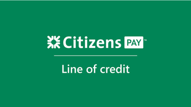 Citizens pay Logo