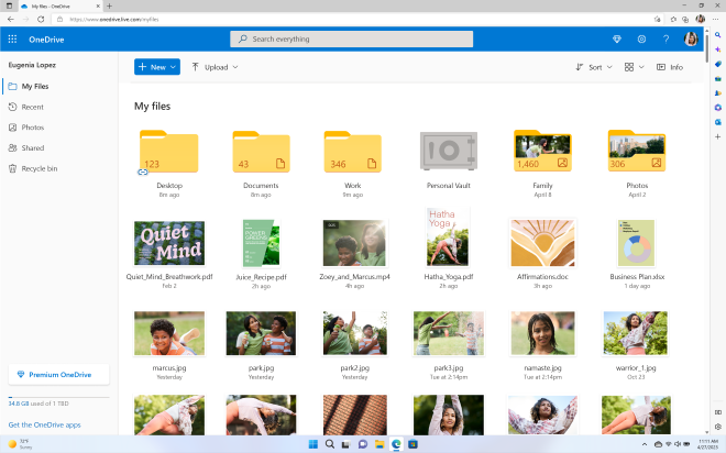 PC screen image of OneDrive consumer interface.