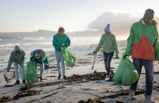 A group of five young volunteers cleaning a beach.