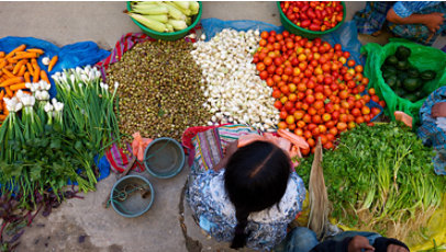Person sitting on the ground, surrounded by piles of vegetables.