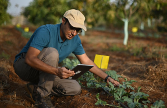 A man using a digital tablet on a farm while inspecting crops.