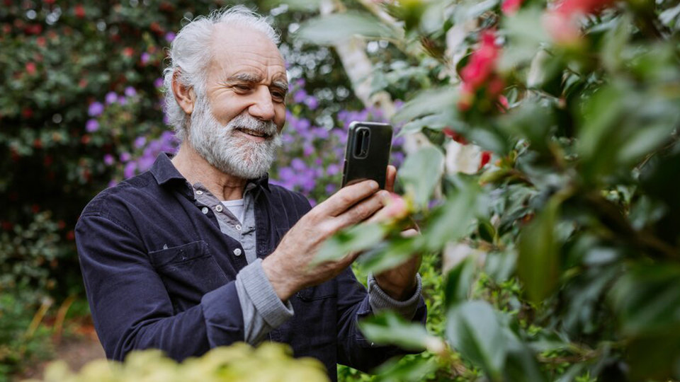 An elderly man taking photos of plants in a garden.