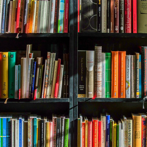 A dark wooden bookshelf filled with an assortment of books, showcasing a variety of colors and sizes. The spines are visible, revealing a range of genres and topics.