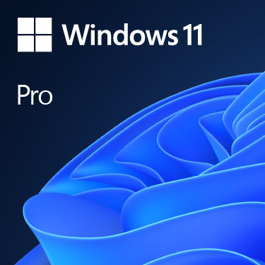 Buy and Download Windows 11 Pro | Microsoft