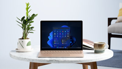 Inclut Windows 11 Professionnel