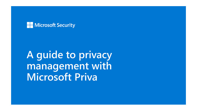 A guide to privacy management with Microsoft Priva