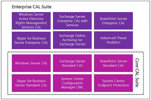 Microsoft CAL Suite technologies