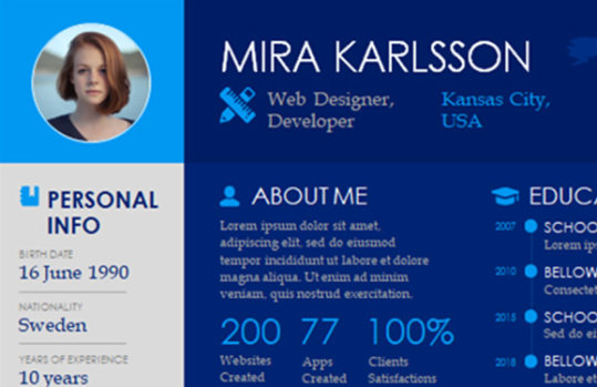 Resume featuring a picture, bio, key statistics, and education