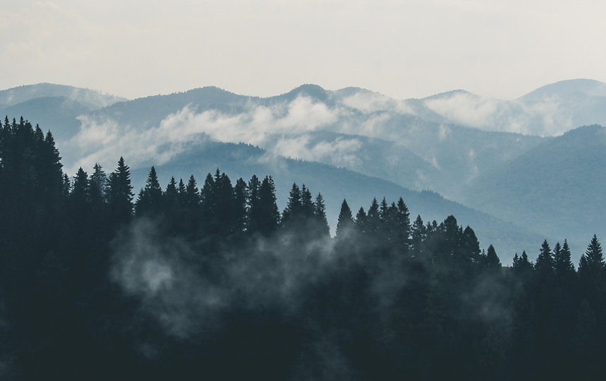 A dark forest in front of a mountain range covered by sparse clouds.