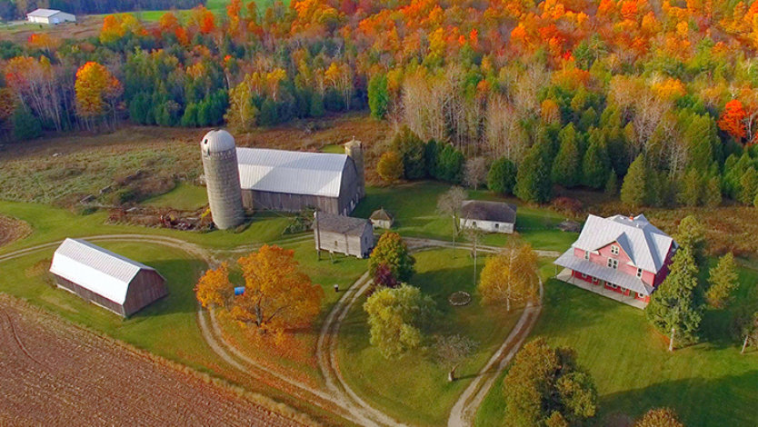 불타는 듯한 가을의 색채가 담긴 시골 중서부의 아름다운 경치.