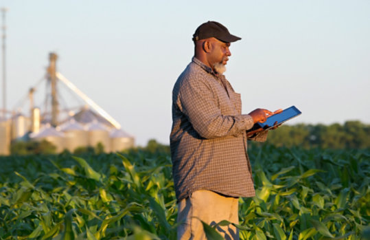 Farmer with digital tablet in crop field.