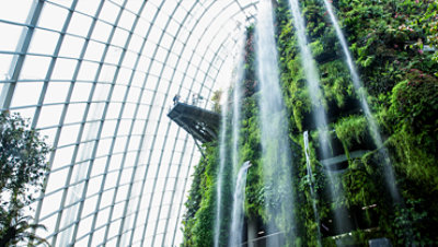 An indoor waterfall and garden inside a building.