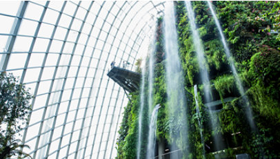 An indoor waterfall and garden inside a building.