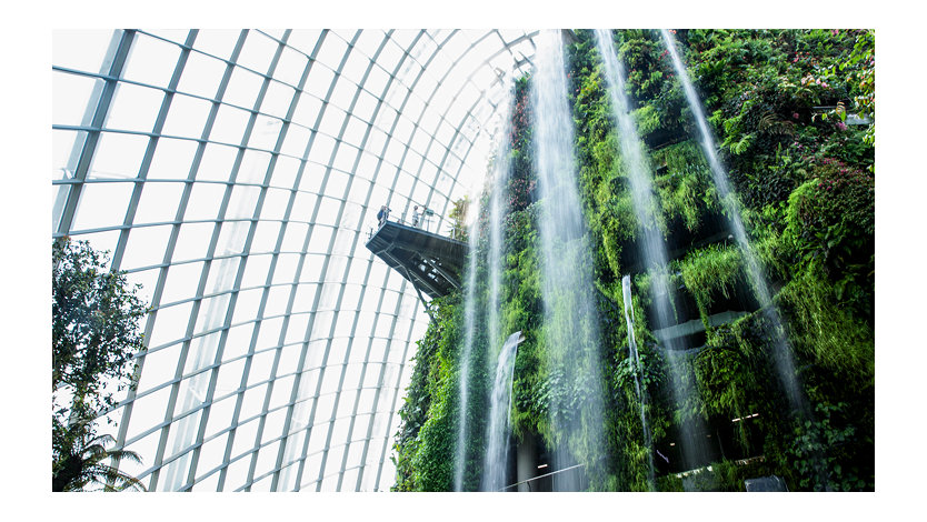An indoor waterfall and garden inside a building.