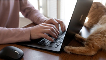 A person typing on their laptop while a fluffy orange cat lays behind it, watching the person work