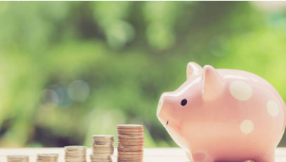 A photograph of a piggy bank and rows of coins stacked beside it.