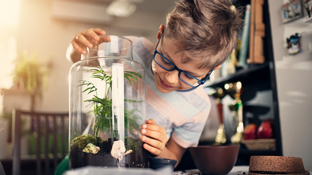 Young boy making a plant bottle garden at home