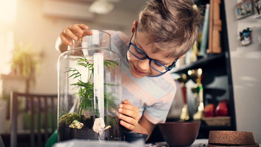 Photo credit: Imgorthand/E+/Getty Images. Young boy making a plant bottle garden at home.