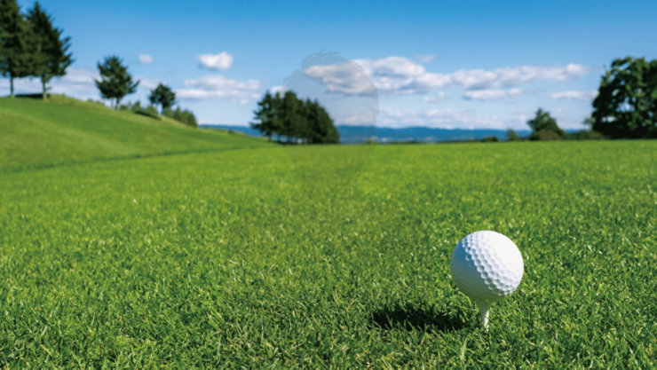 おそらくゴルフコースのような緑のフィールドに置かれたゴルフボール。背景には澄んだ空と豊かな緑が含まれています。