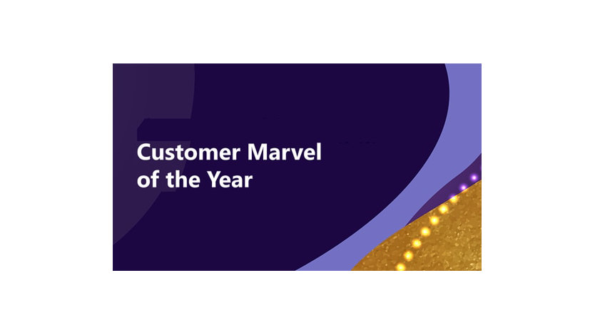 Customer Marvel of the Year